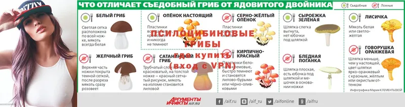 Псилоцибиновые грибы мухоморы  Кашира 